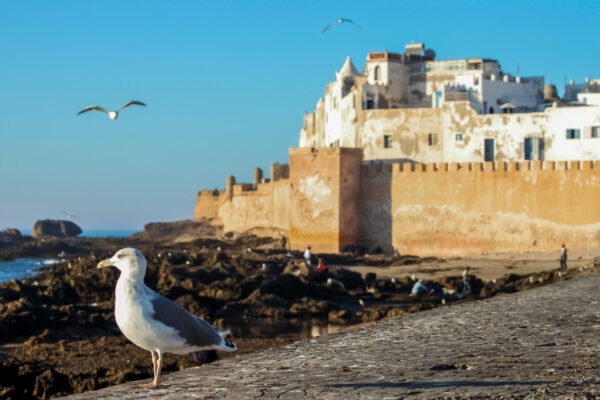 Grand Morocco Tour from Tangier