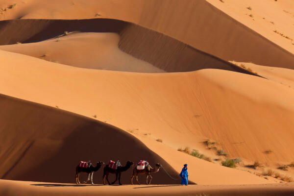 Imperial Cities & Desert Tour
